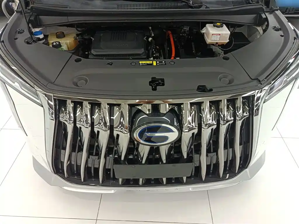 GAC Trumpchi Trumpchi M8 2023 Master Series Dual Hybrid Flagship Edition фото 20