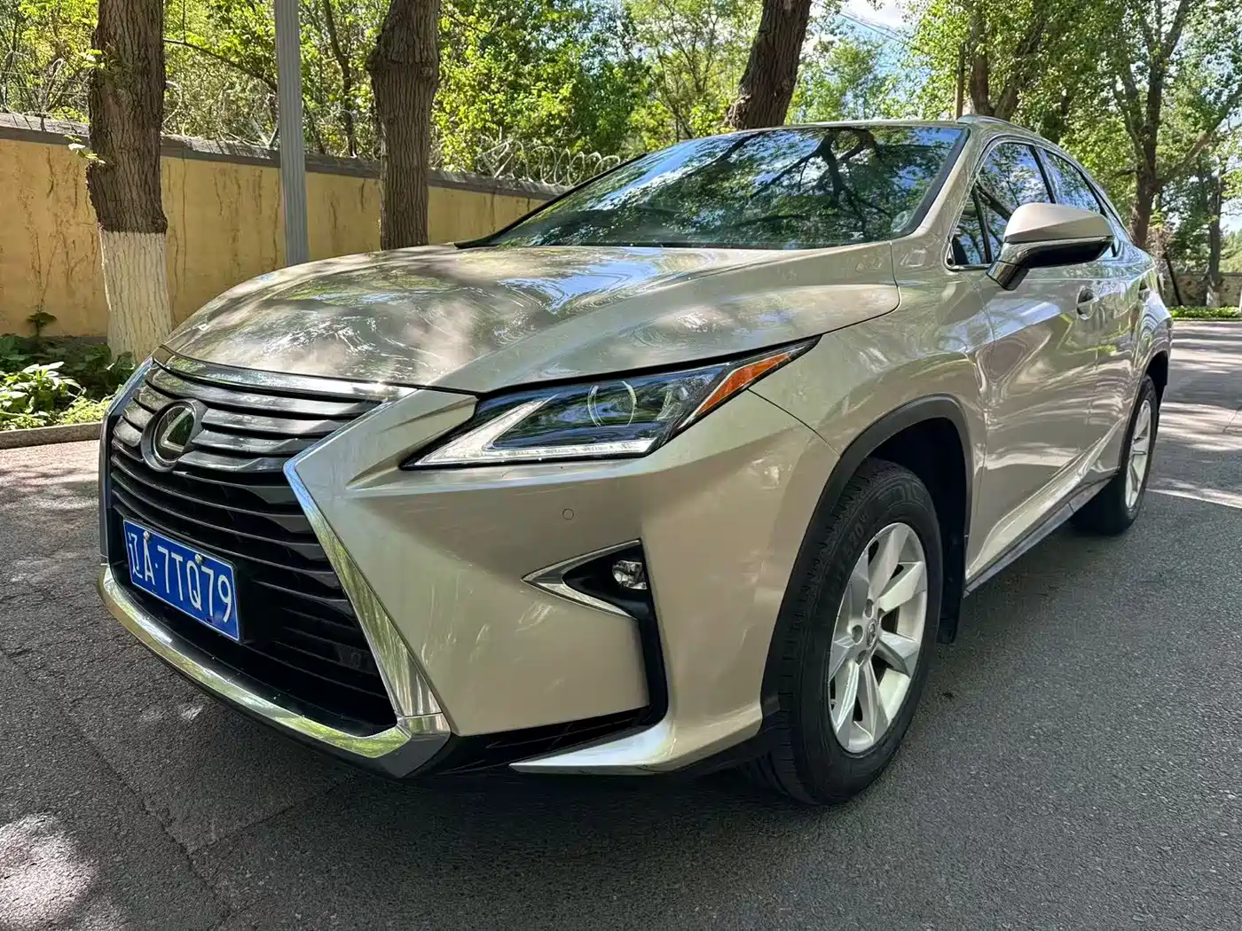 LEXUS RX