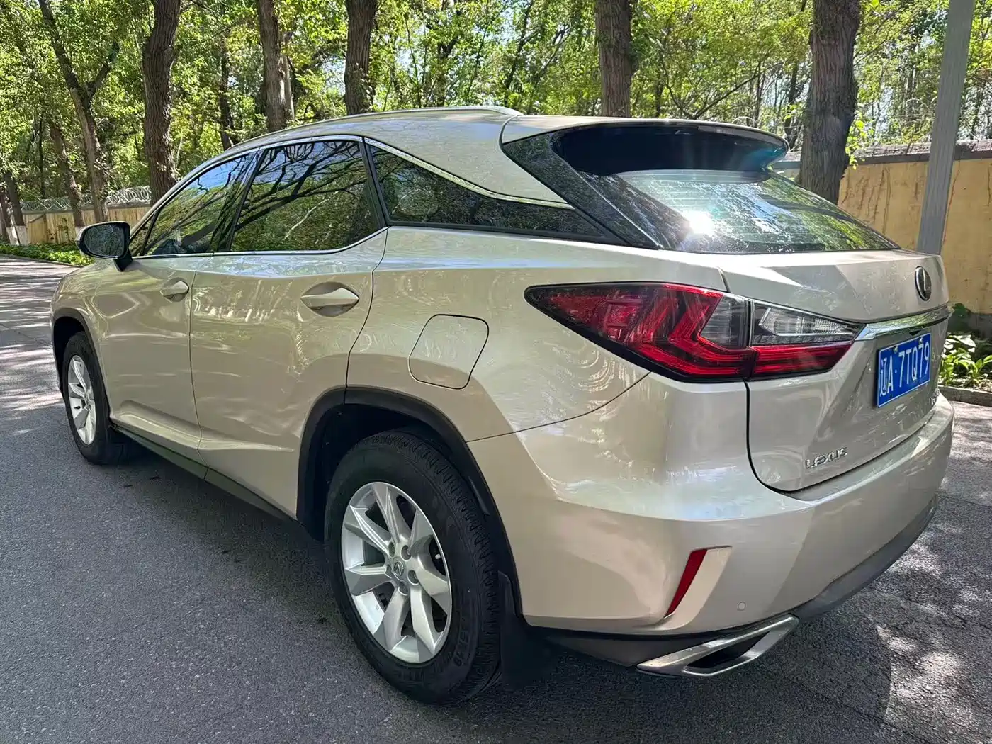 LEXUS RX