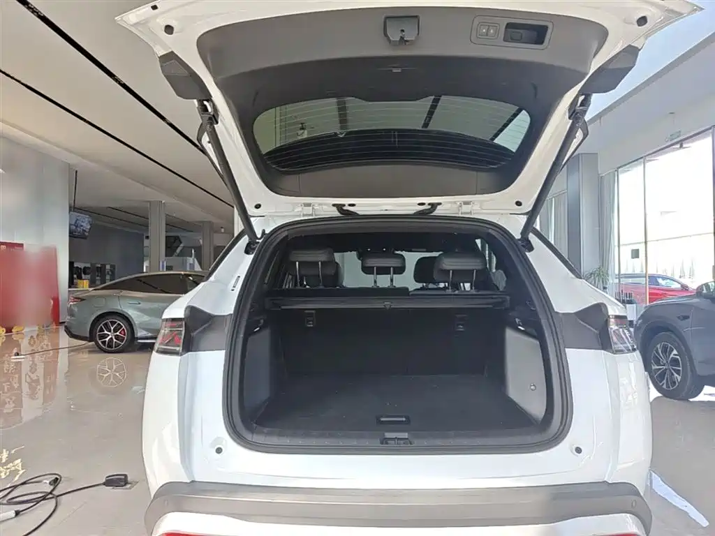 BYD Song L DM-i 2025 Smart Drive 160km Premium фото 19