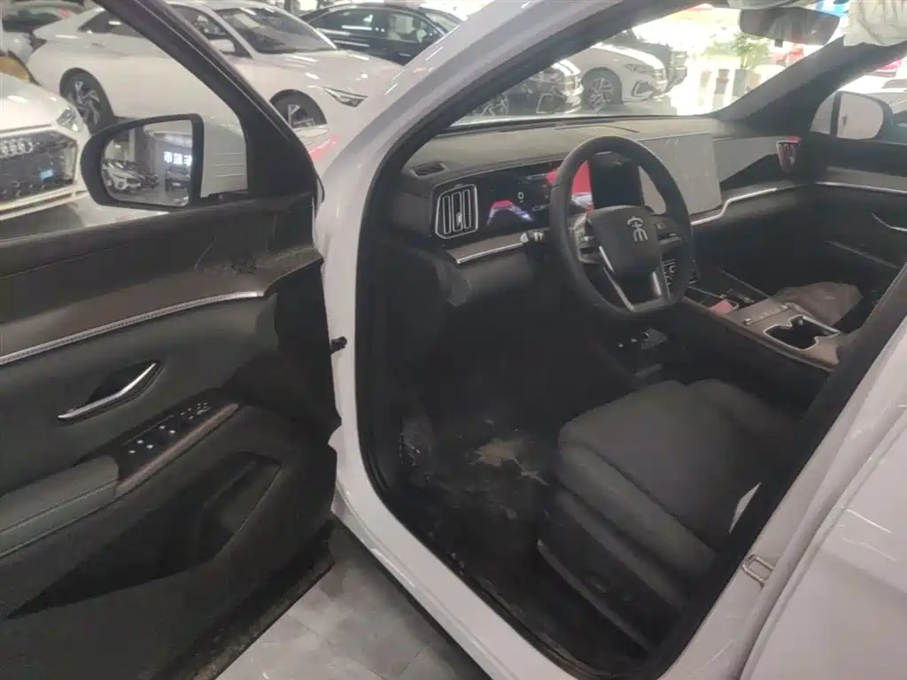 BYD Song Pro New Energy 2026 DM-i 133KM Progressive фото 16