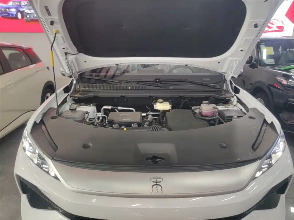 BYD Song Pro New Energy 2026 DM-i 133KM Progressive фото 20