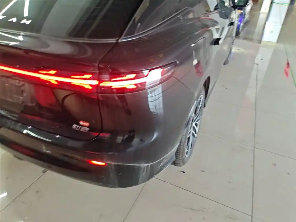 Voyah Auto Voyah Zhiyin 2025 Base фото 8