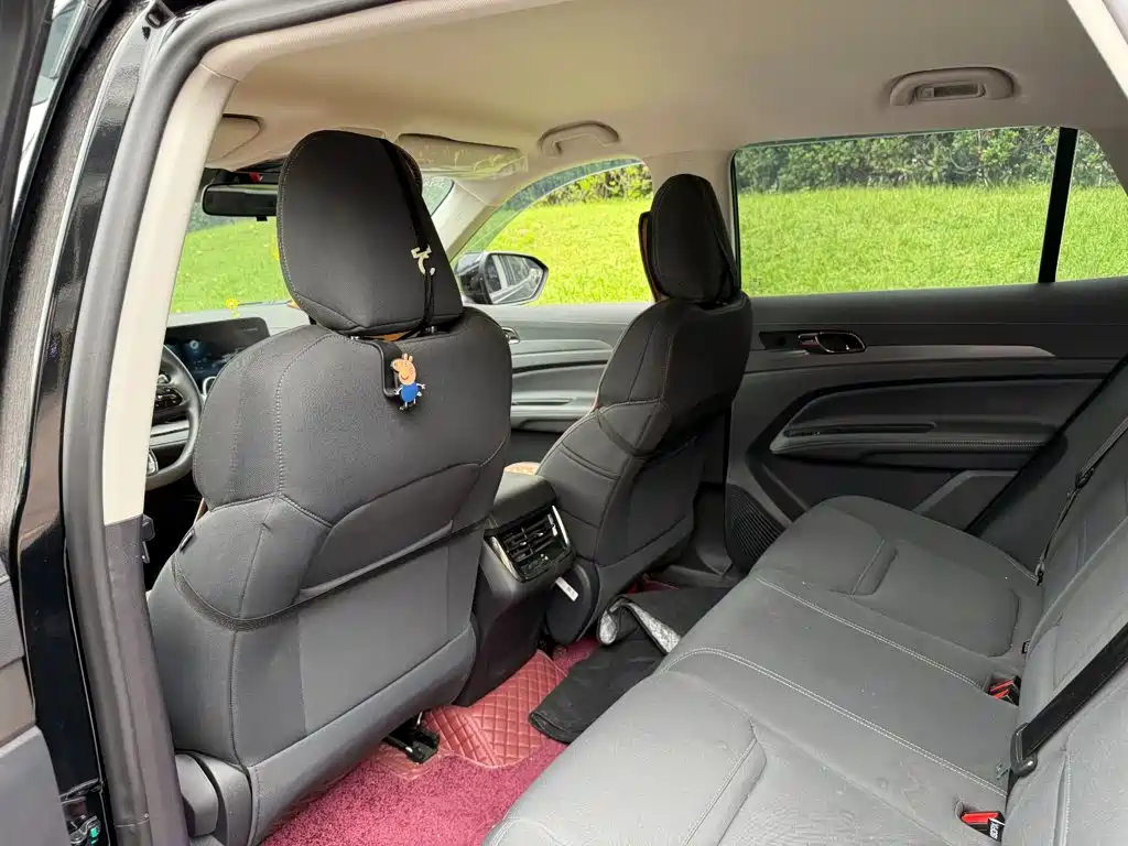 Ford Lingrui 2024 2023 Model EcoBoost 170 Comfort Leading