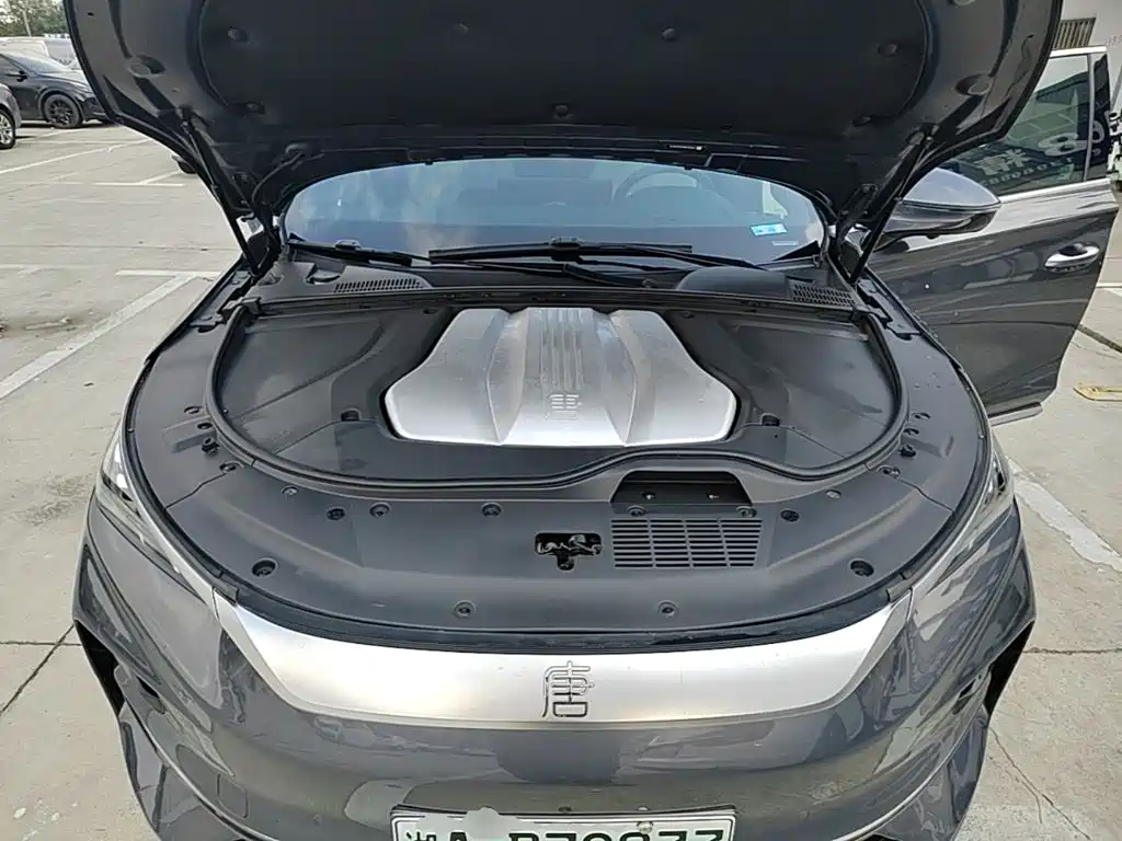 Фото 20 - BYD Tang New Energy