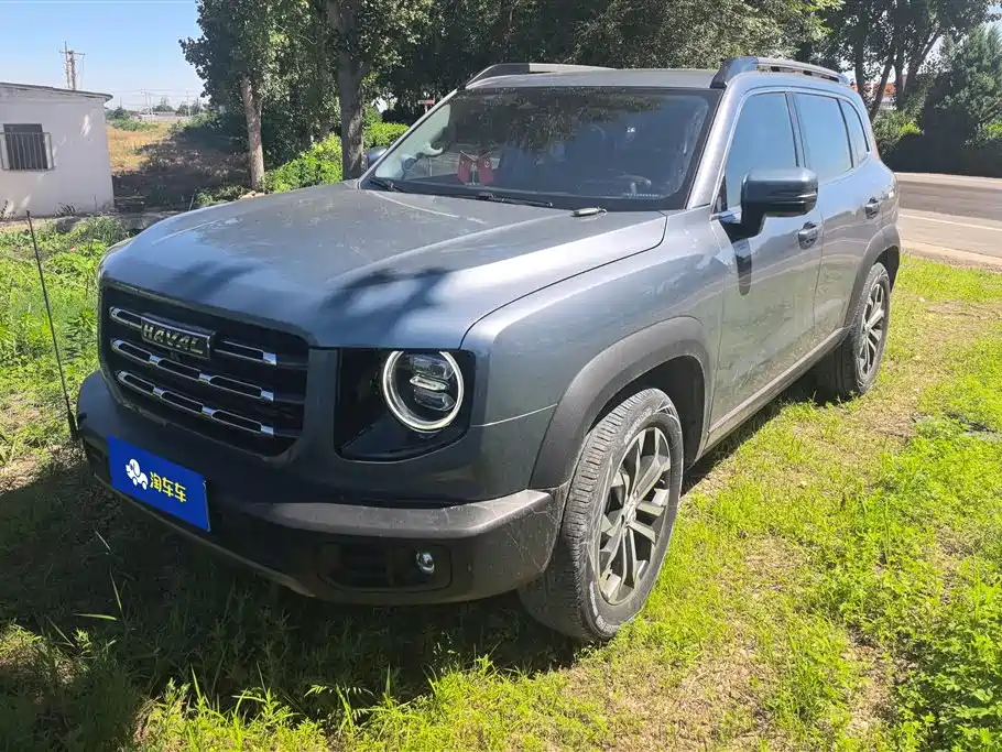 Haval Big Dog 2021 1.5T DCT 2WD Border Collie Edition