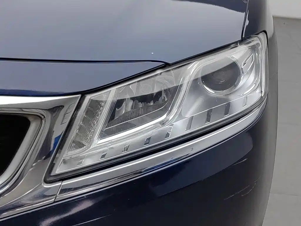 Фото 7 - Geely Borui