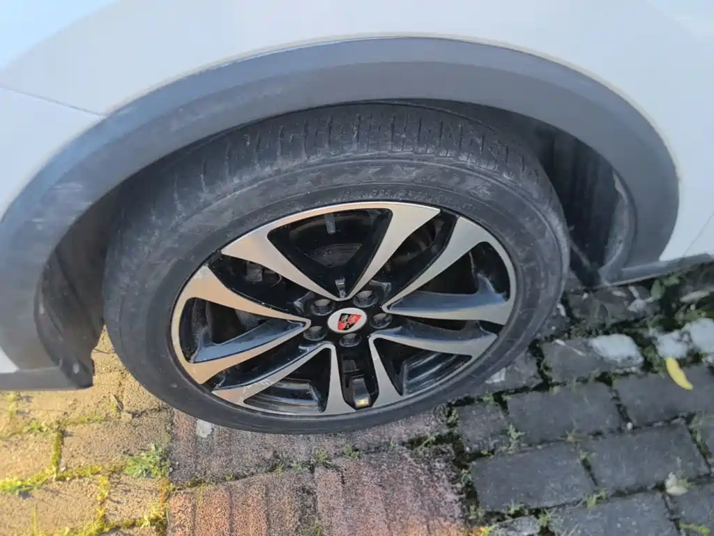Фото 23 - Roewe RX3