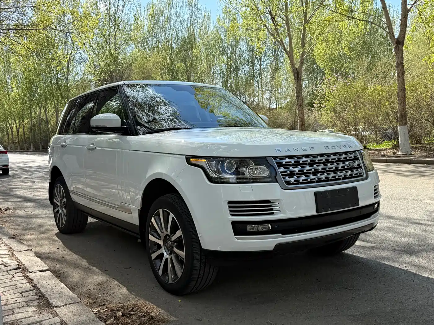 Land Rover Range Rover 2013 5.0 SC V8 AB Ultimate Genesis Edition фото 2