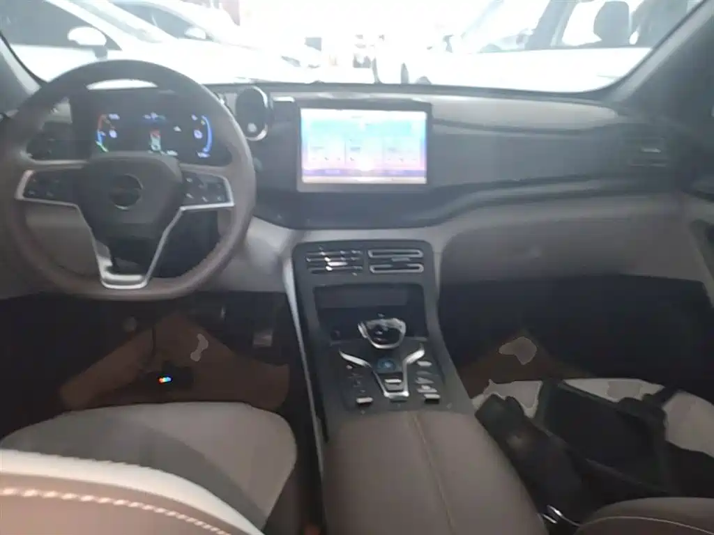 BYD Qin PLUS 2023 Champion Edition DM-i 55KM Leading фото 10