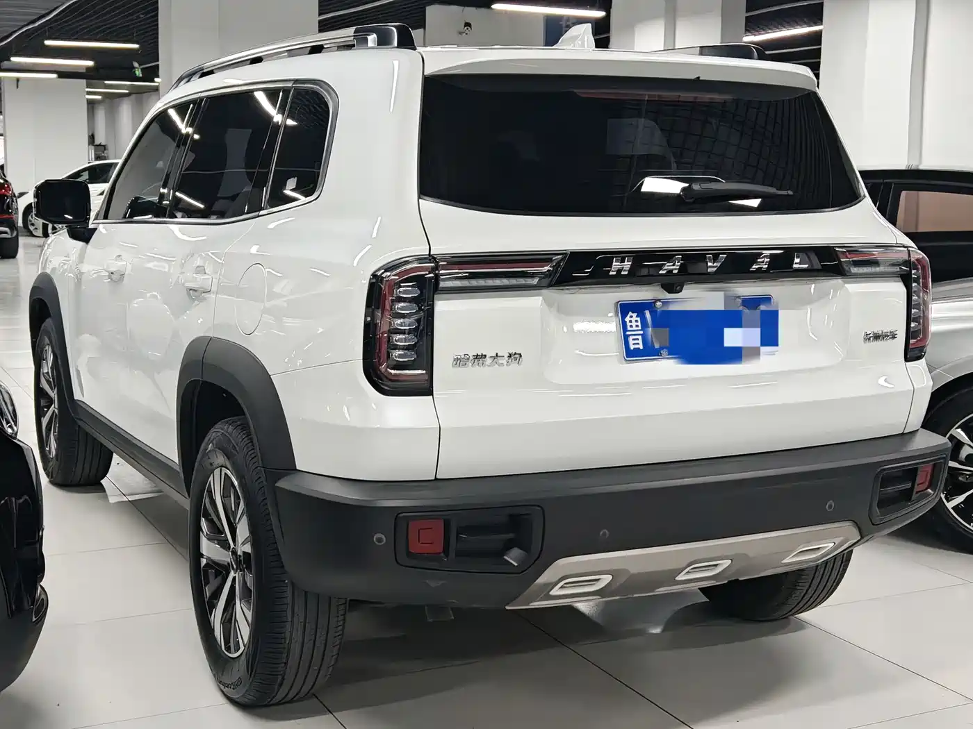 Haval Big Dog 2021 1.5T DCT 2WD Labrador Edition фото 4