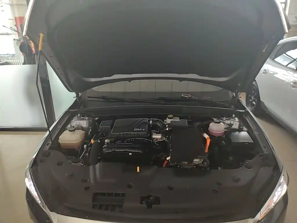 BYD Qin PLUS 2023 Champion Edition DM-i 55KM Leading фото 20