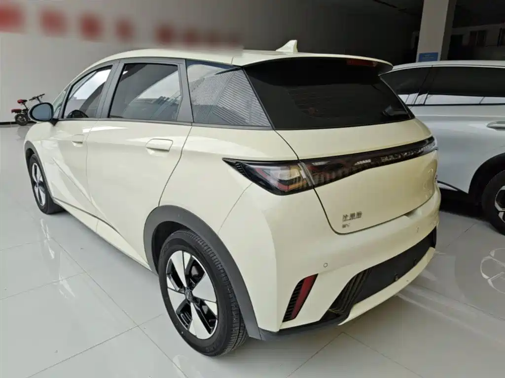 BYD Dolphin 2023 420km Fashion Edition фото 5