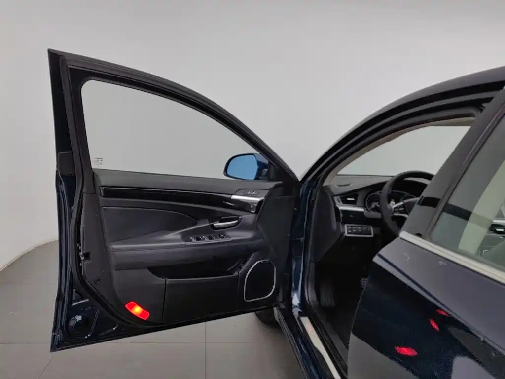 Фото 8 - Geely Borui