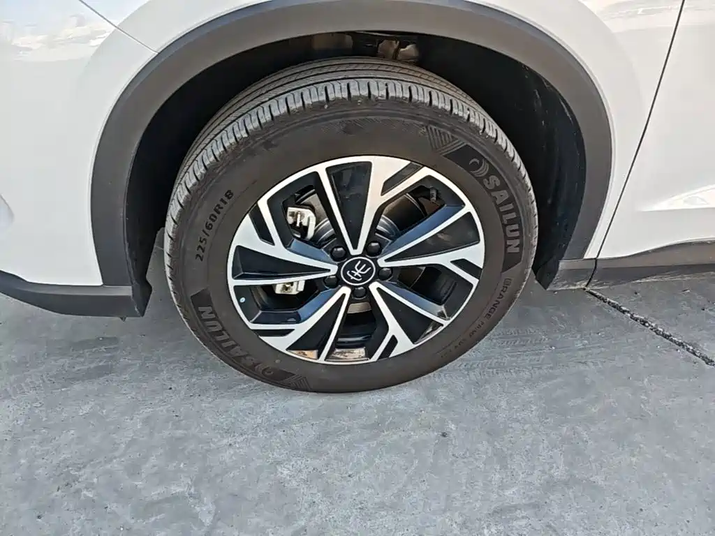 BYD Song Pro New Energy 2026 2026 DM-i 133KM Progressive
