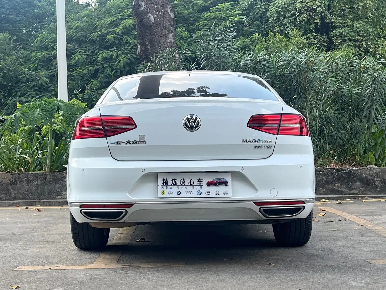 Photo 8 - Volkswagen Magotan