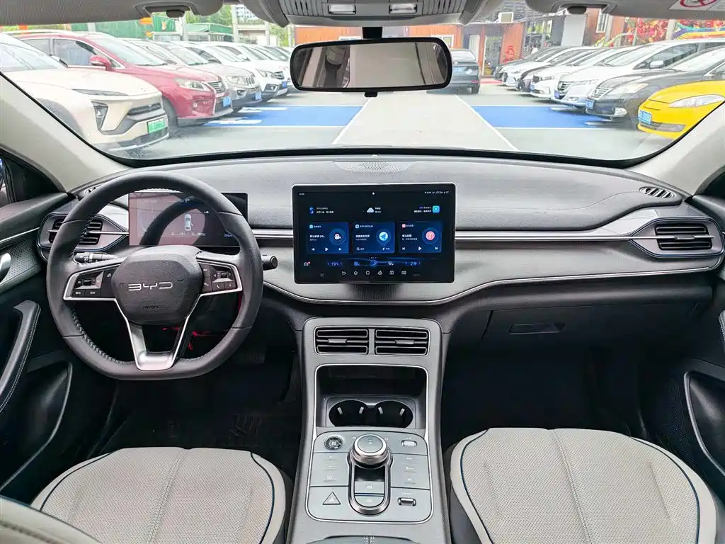 BYD Qin PLUS 2024 Glory Edition DM-i 55KM Leading фото 5