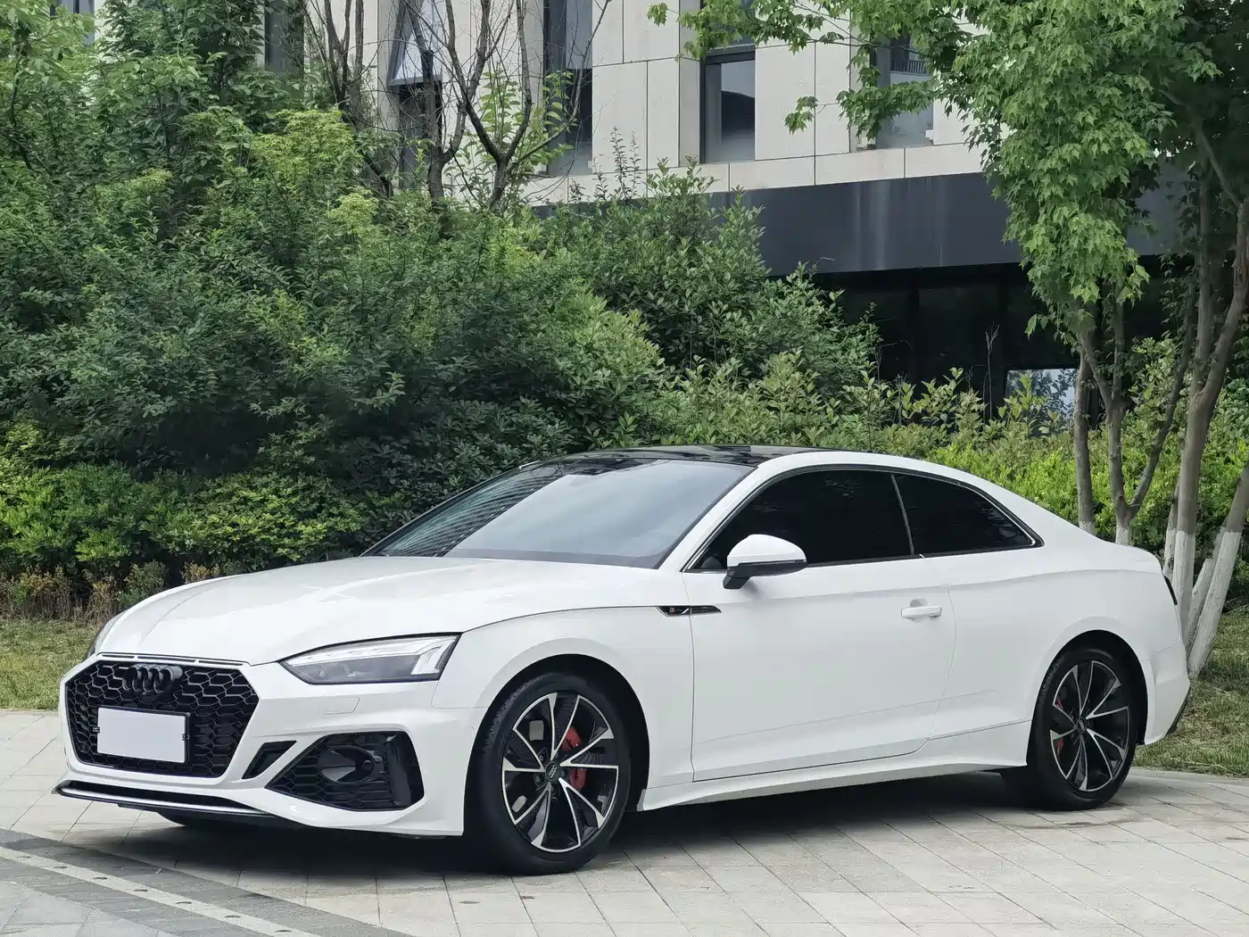 Audi A5 (Import) 2023 Coupe 40 TFSI Fashion Dynamic