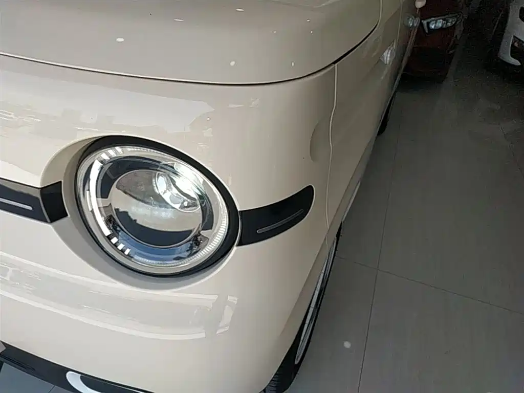 Geely Galaxy Panda 2025 Panda mini 210km Vitality Bear фото 24