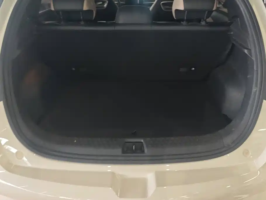 Фото 4 - BYD Dolphin