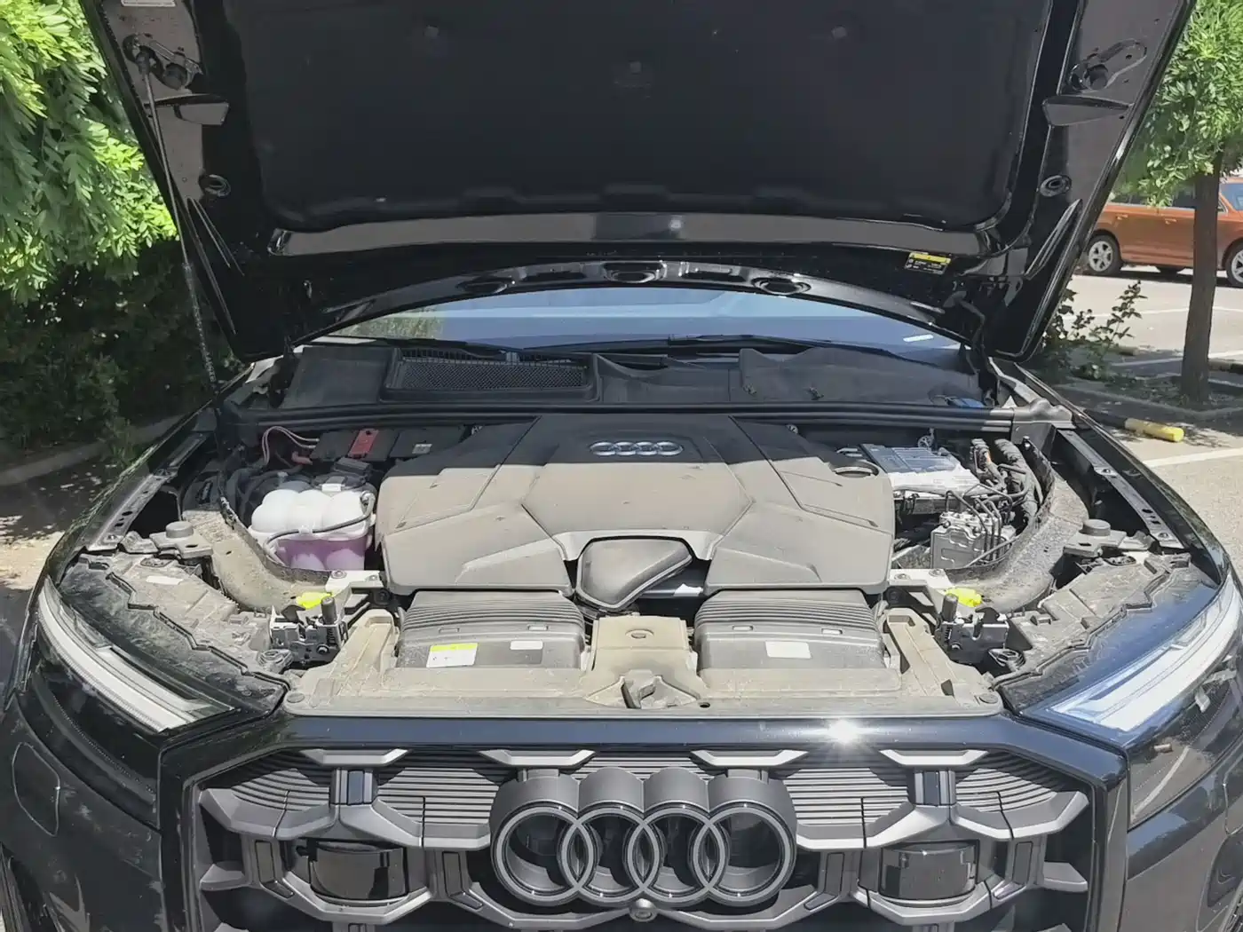 Audi Q7 2025 55 TFSI quattro S line Black Warrior фото 22