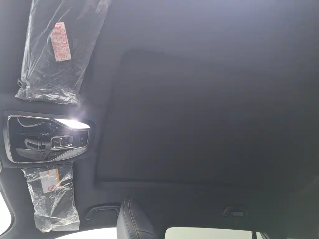 Ford Lingrui 2023 2022 Extreme EcoBoost 170 Light and Shadow