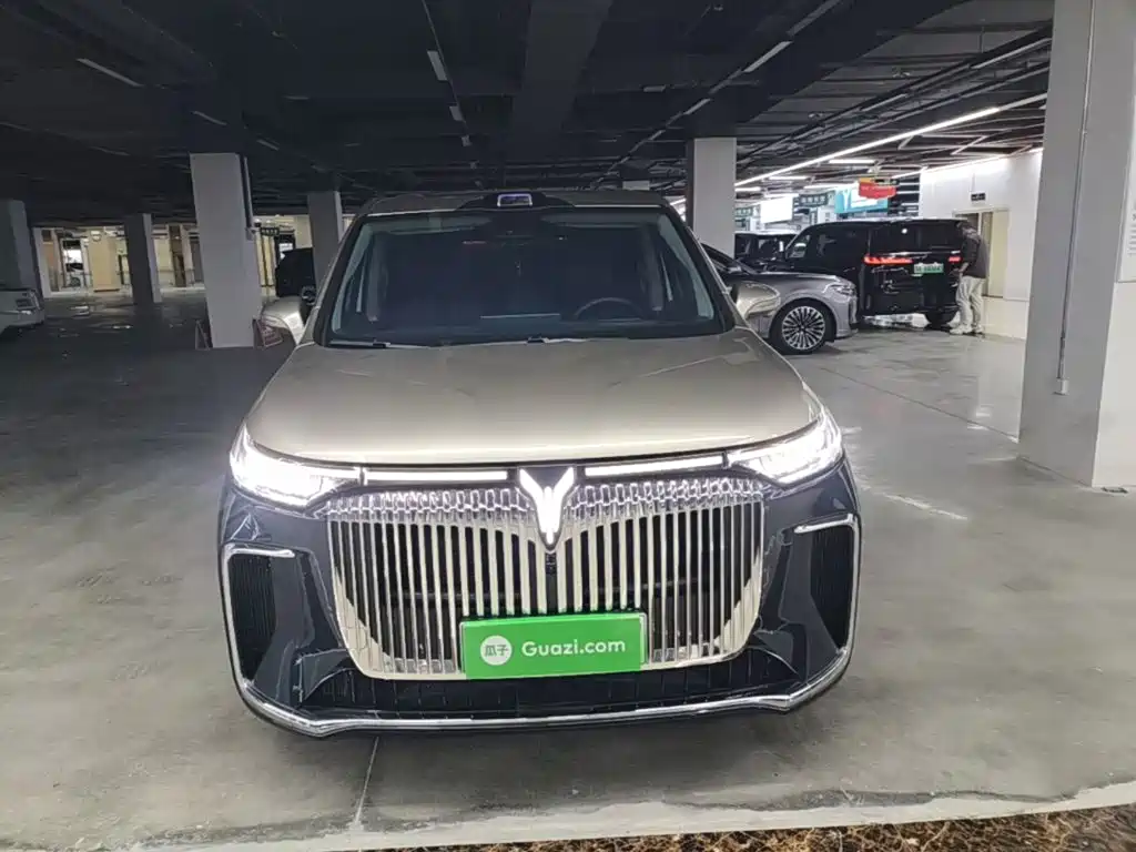 Voyah Dreamer 2025 2025 Model PHEV Basic Version