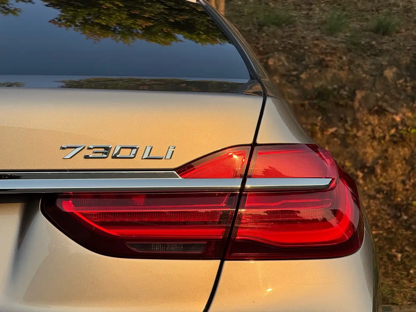 BMW 7 Series 2018 730Li Premium Type Excellence Package фото 10