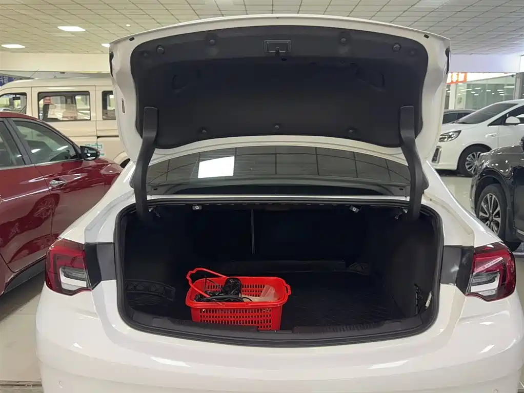 Buick Regal 2020 552T Elite фото 15