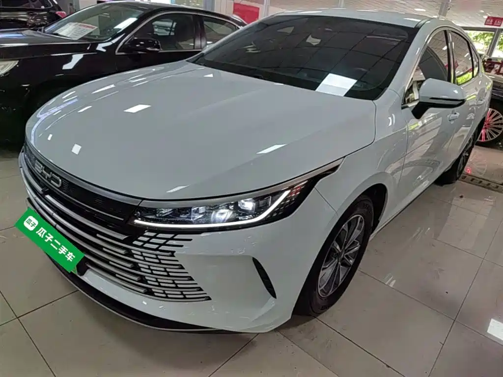 BYD Destroyer 05 2024 Glory Edition DM-i 55KM Luxury фото 2