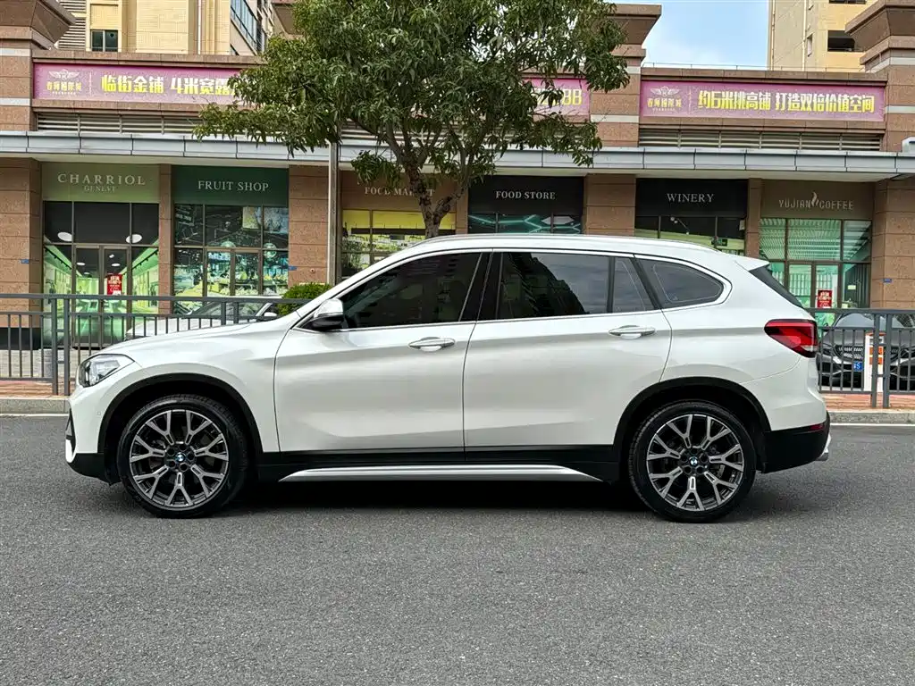 BMW X1 2020 xDrive25Li Premium Edition фото 10