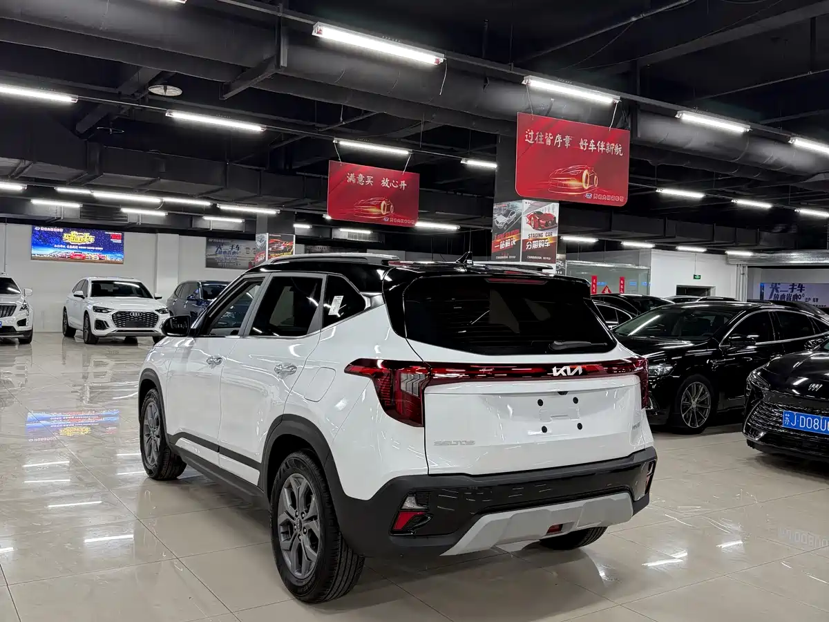 Kia Seltos 2026 1.5L IVT Luxury Edition фото 9