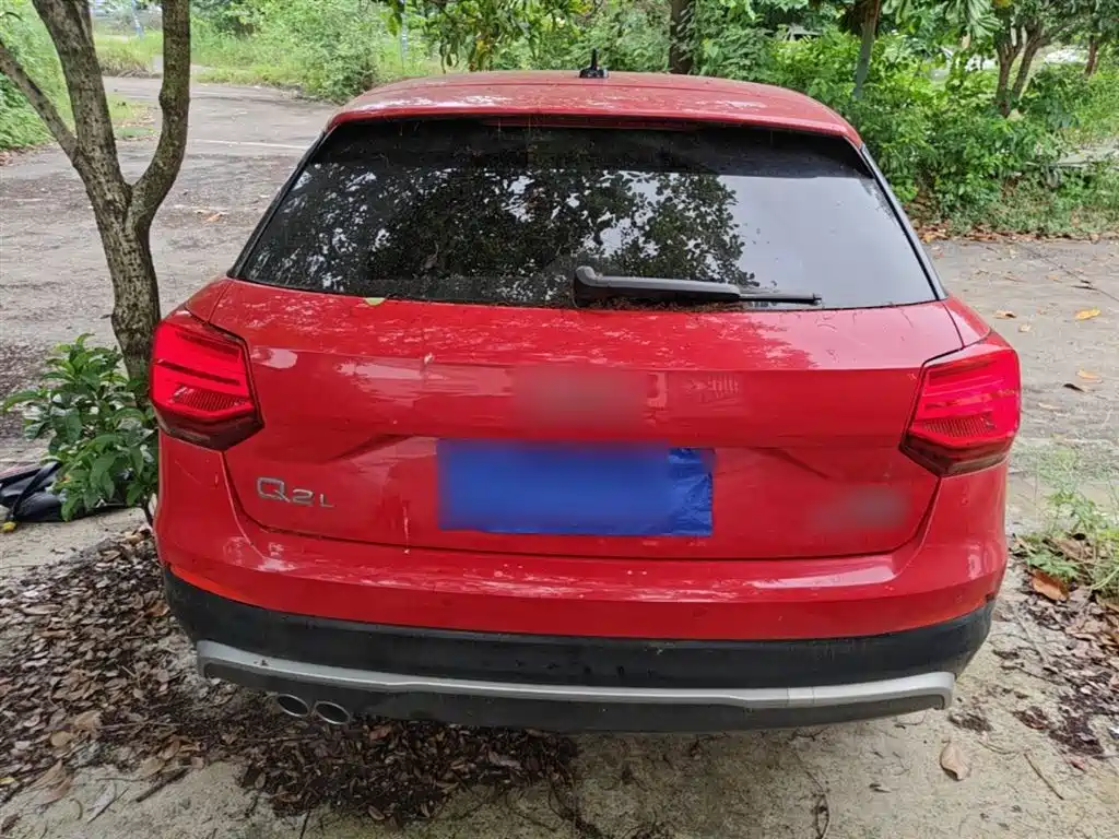 Audi Q2L 2018 35 TFSI Launch Exclusive Edition China VI фото 6