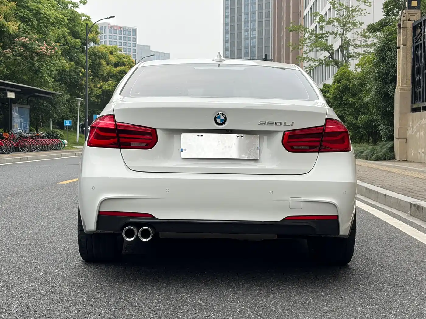 BMW 3 Series 2019 320Li M Luxury Package фото 16