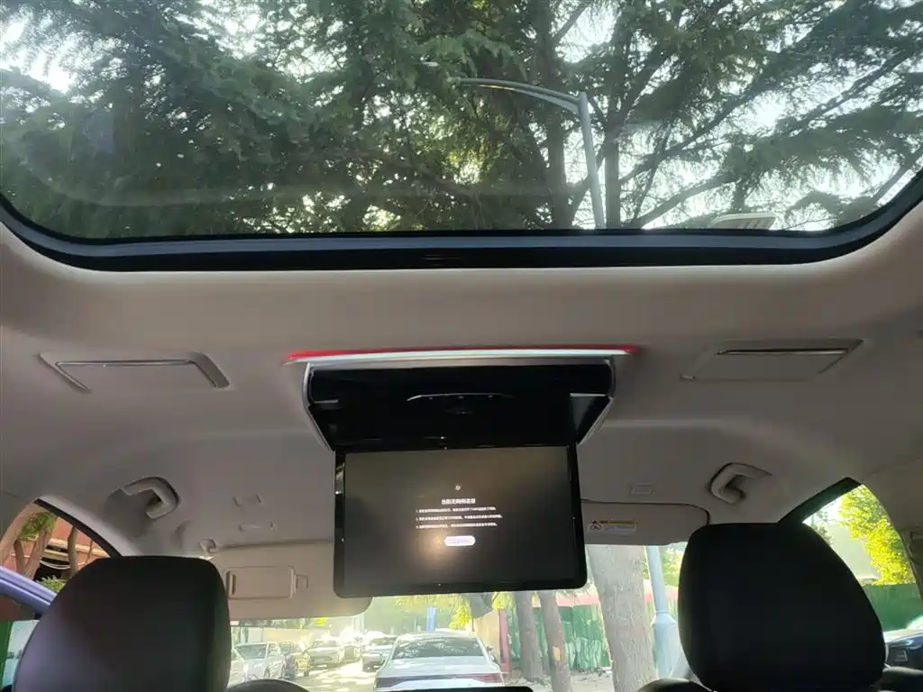 Hongqi HQ9 PHEV 2024 Model 2.0T AWD Luxury Edition фото 18
