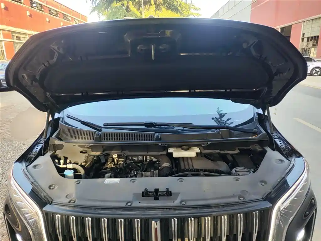 Hongqi HQ9 PHEV 2024 Model 2.0T AWD Luxury Edition фото 20