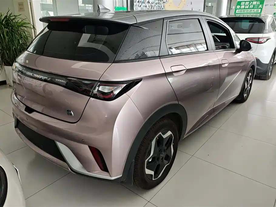 BYD Dolphin 2021 Model 405km Fashion Edition фото 3