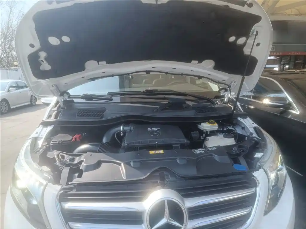 Mercedes-Benz V-Class 2018 V 260 Pilot Edition China V фото 20