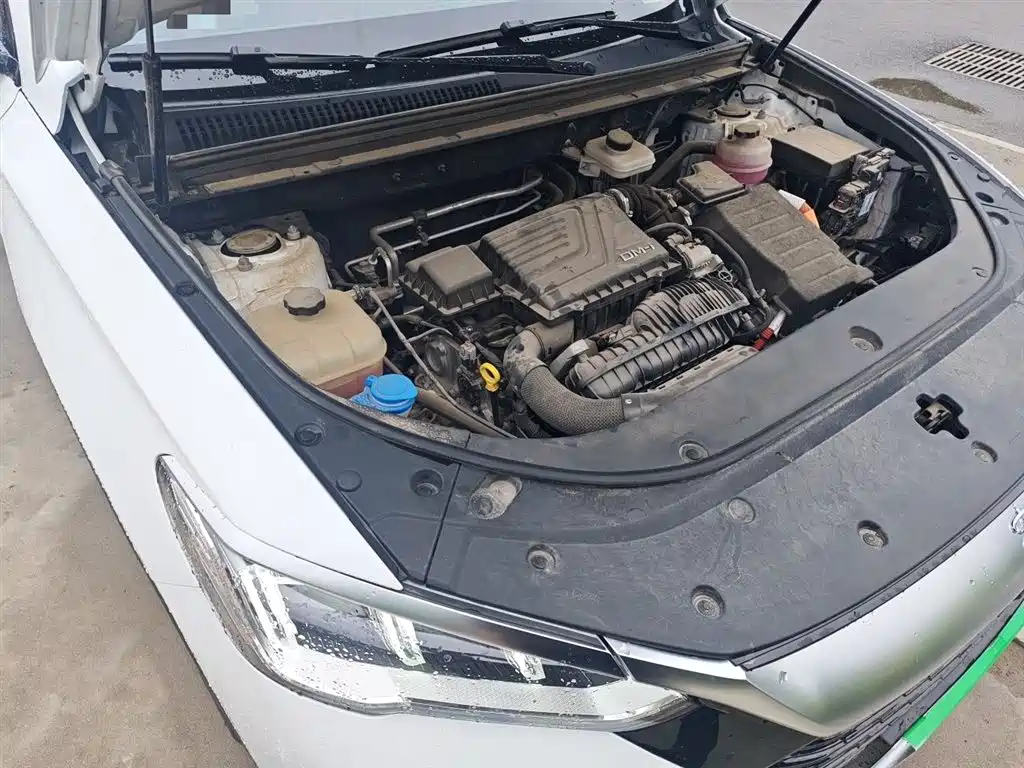 BYD Song Pro New Energy 2023 Champion Edition DM-i 110KM Excellence фото 22