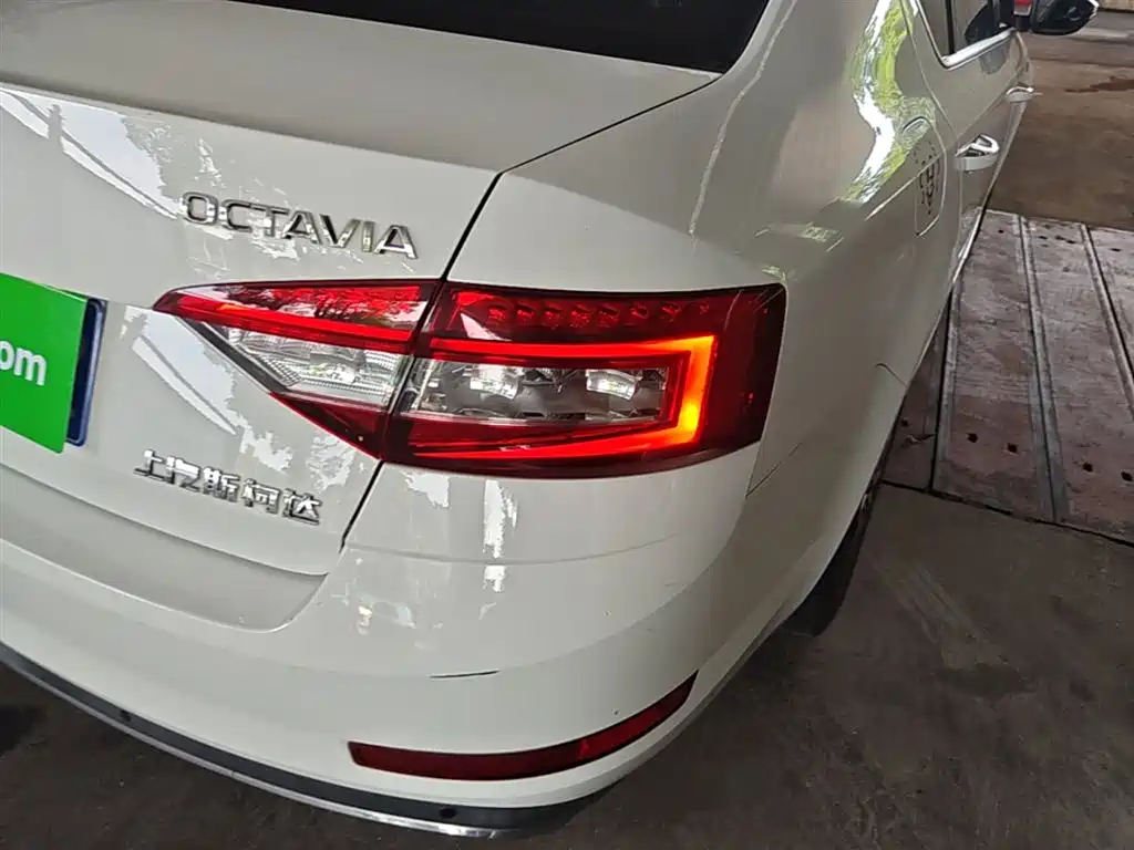 Škoda Octavia 2018 TSI230 DSG Luxury Edition фото 8