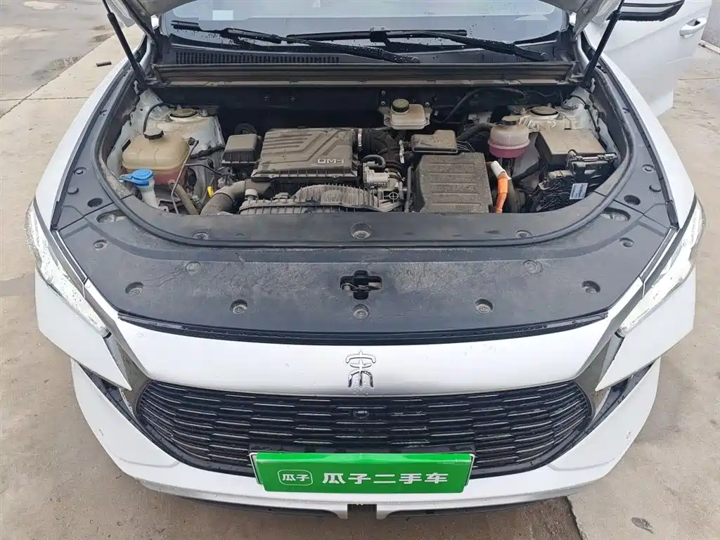 BYD Song Pro New Energy 2023 Champion Edition DM-i 110KM Excellence фото 16