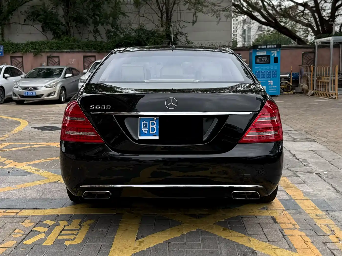 Mercedes-Benz S-Class 2010 S 600 L фото 16