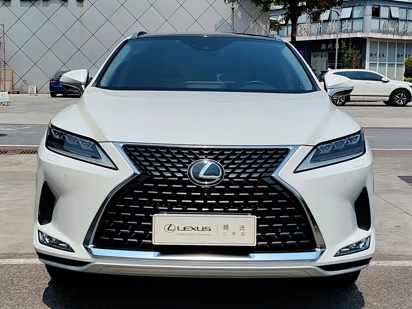 Lexus RX 2020 300 4WD Elegance Edition China VI