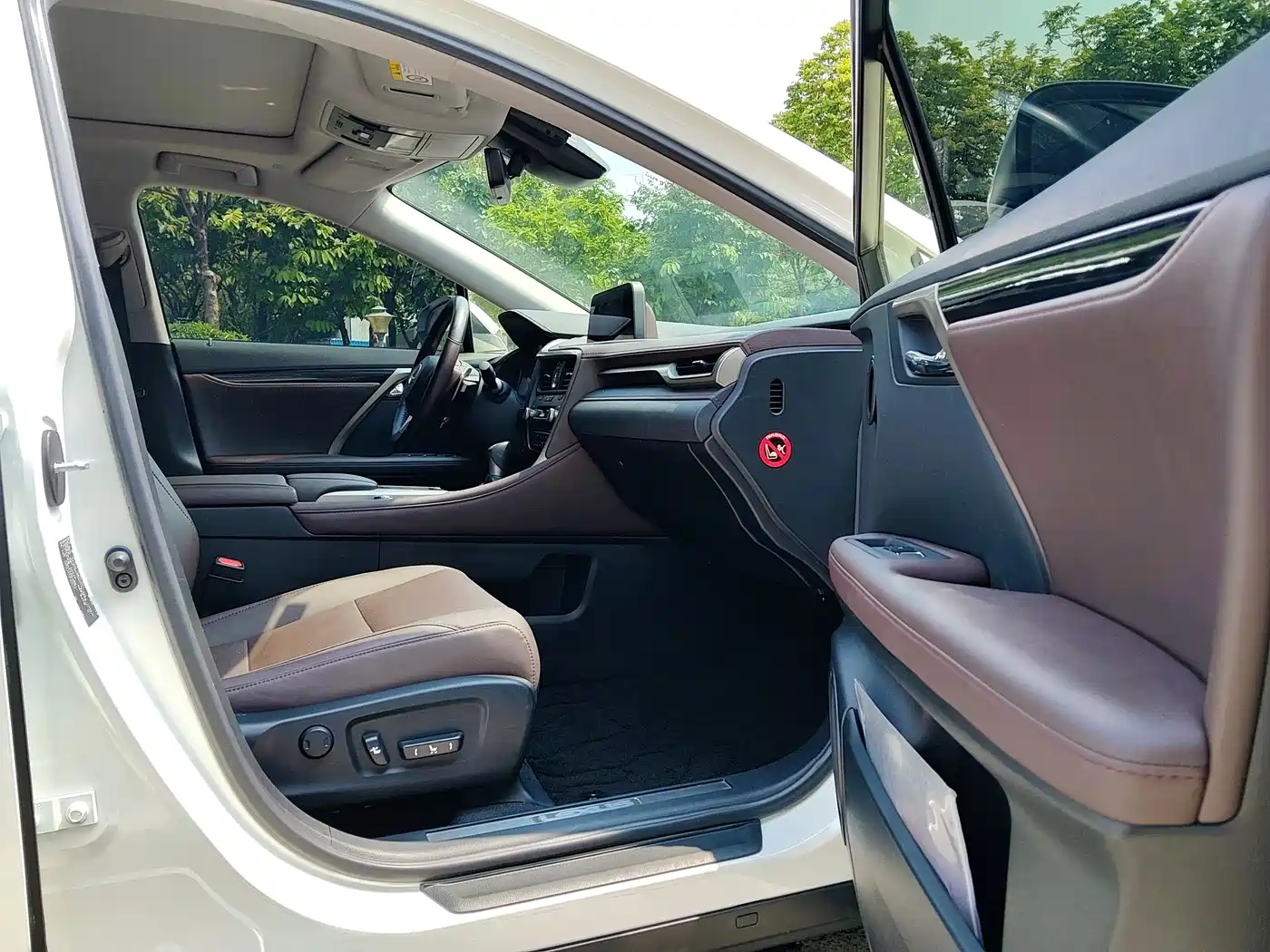 Lexus RX 2020 300 4WD Elegance Edition China VI фото 20