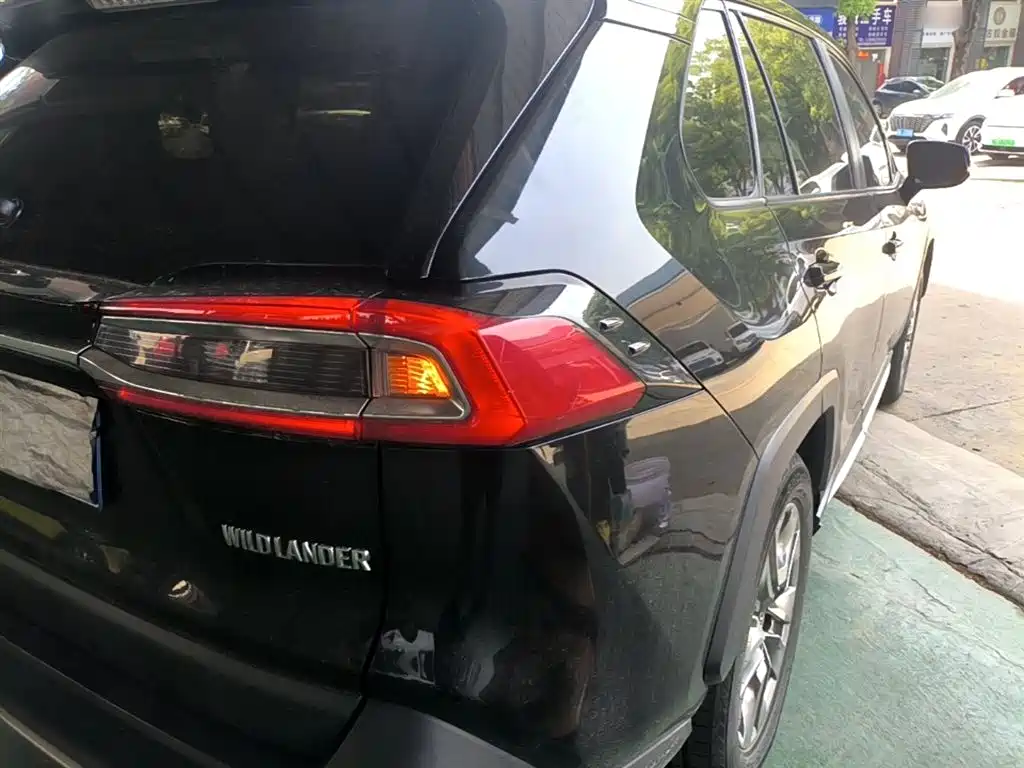 Toyota Wildlander 2020 2.0L CVT 2WD Luxury Edition фото 8