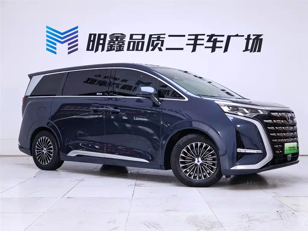 Denza D9 2024 DM-i 980 AWD Prestige фото 5