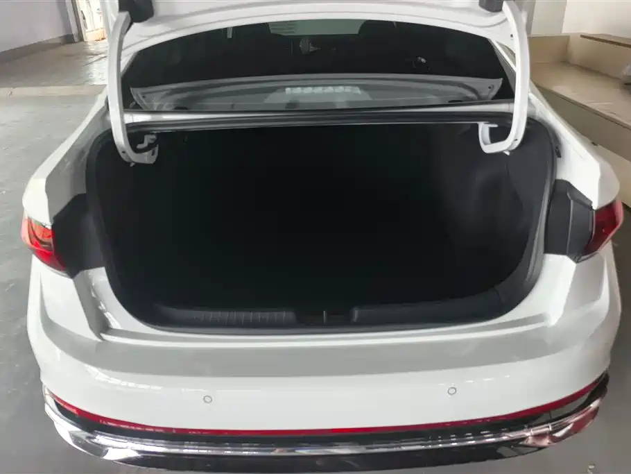Volkswagen Sagitar 2025 300TSI DSG Surpass Edition фото 4