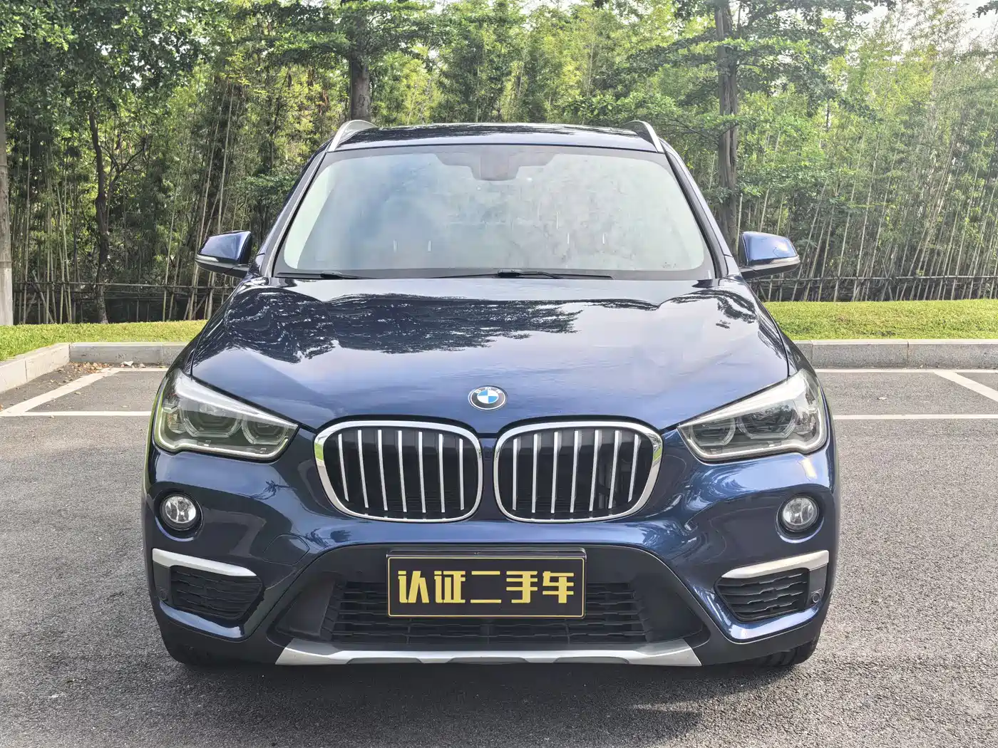 BMW X1 2016 sDrive20Li Luxury Model фото 2