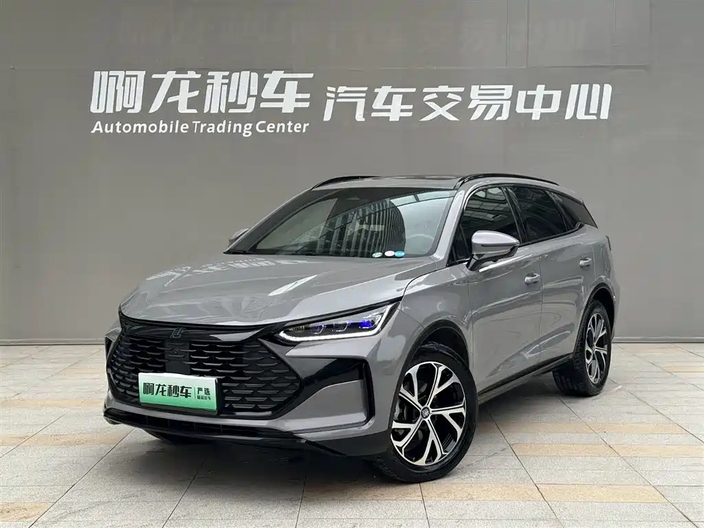 BYD Tang New Energy 2025 DM-i 115KM Prestige Type