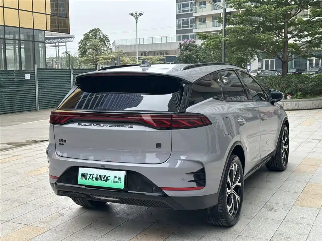 BYD Tang New Energy 2025 DM-i 115KM Prestige Type фото 22